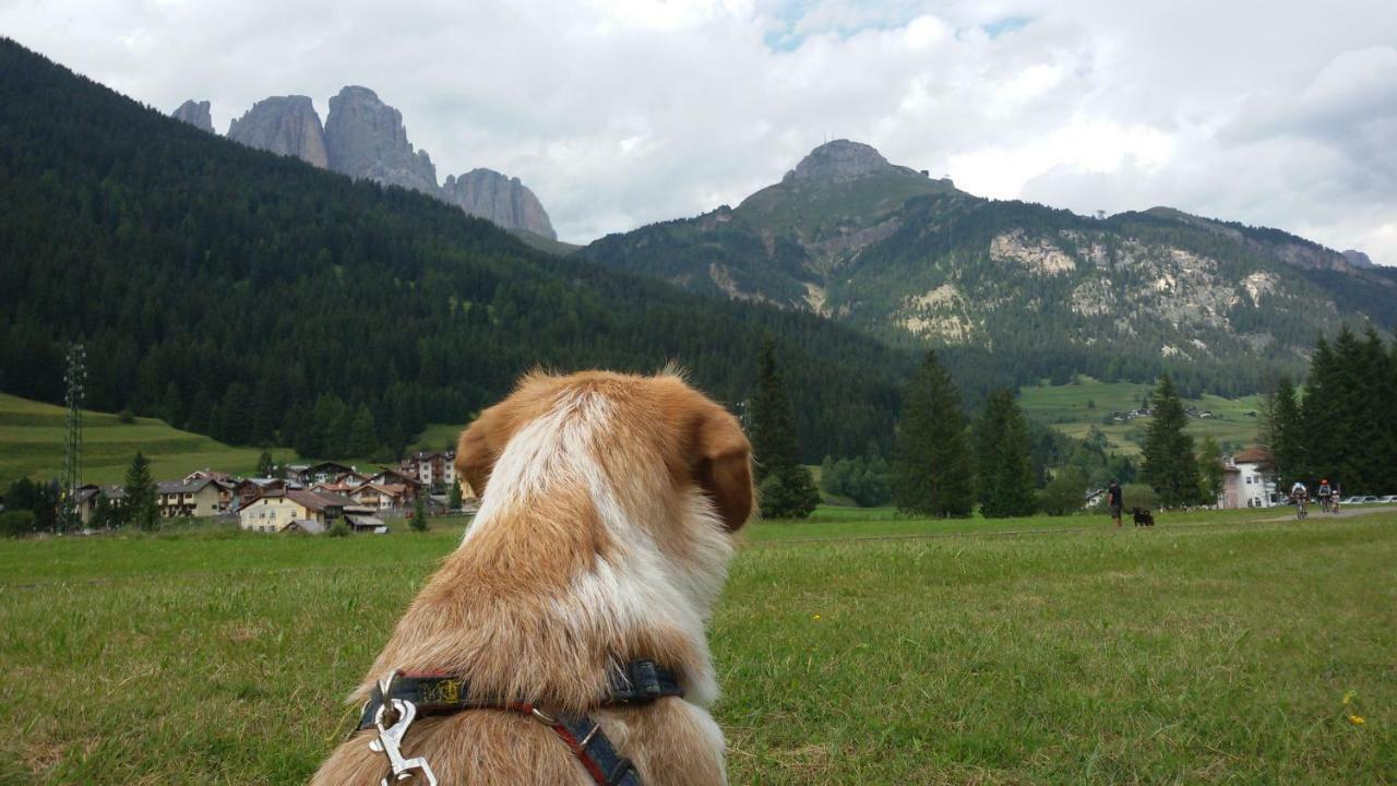 Casamau Trilo Campitello di Fassa Exterior foto