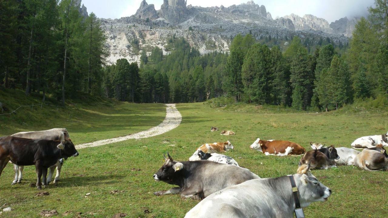 Casamau Trilo Campitello di Fassa Exterior foto